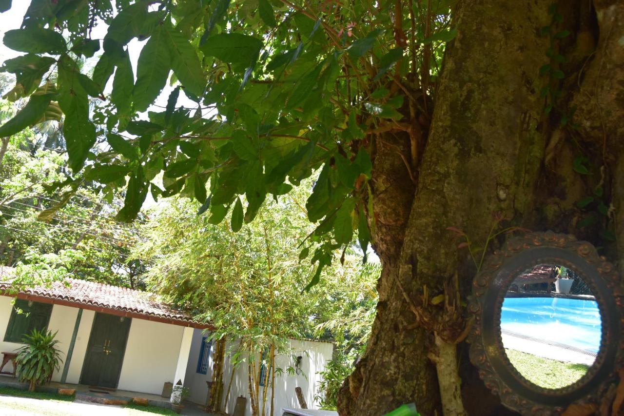 Sethra Villa Bentota Exteriör bild