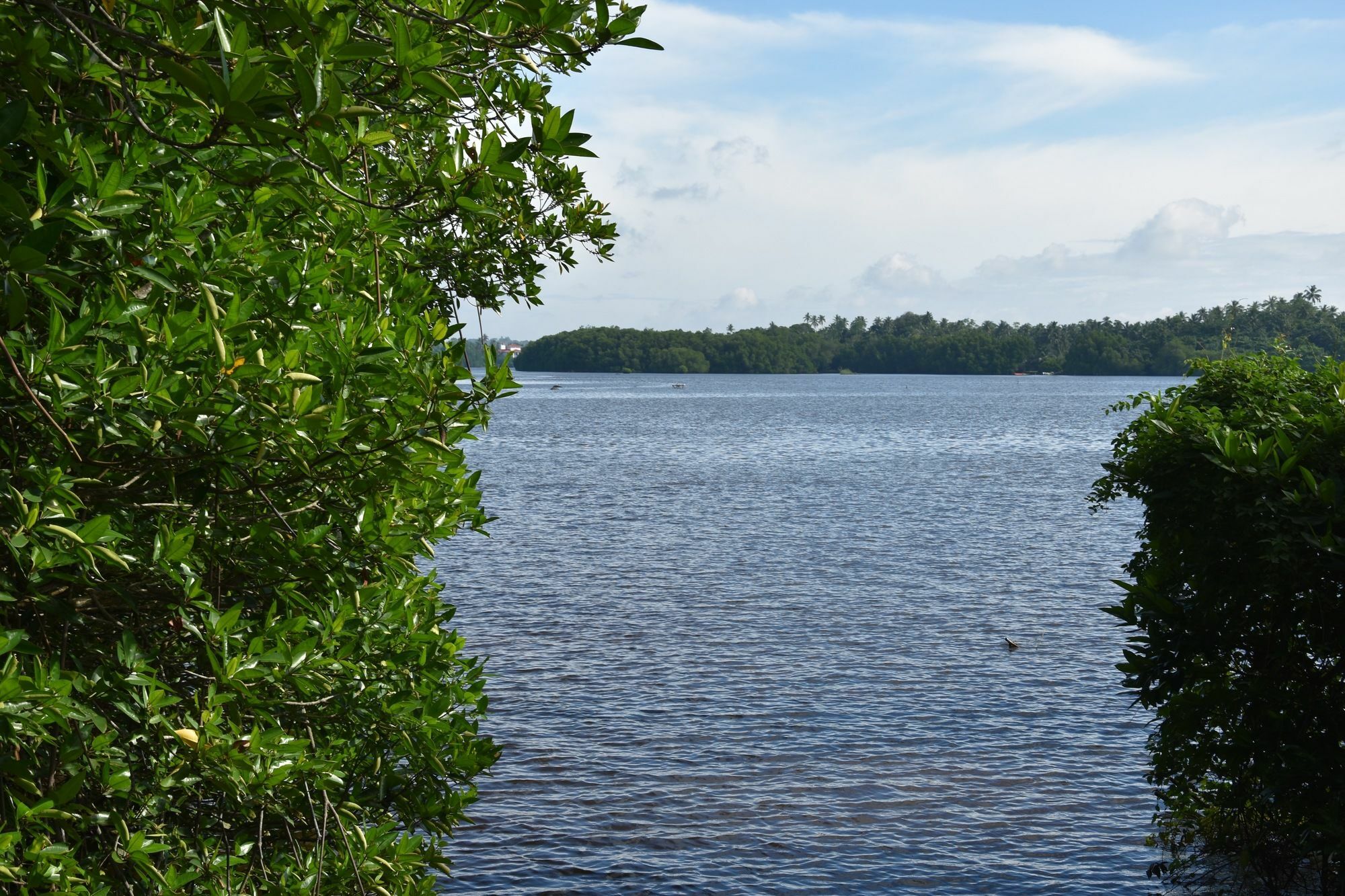 Sethra Villa Bentota Exteriör bild